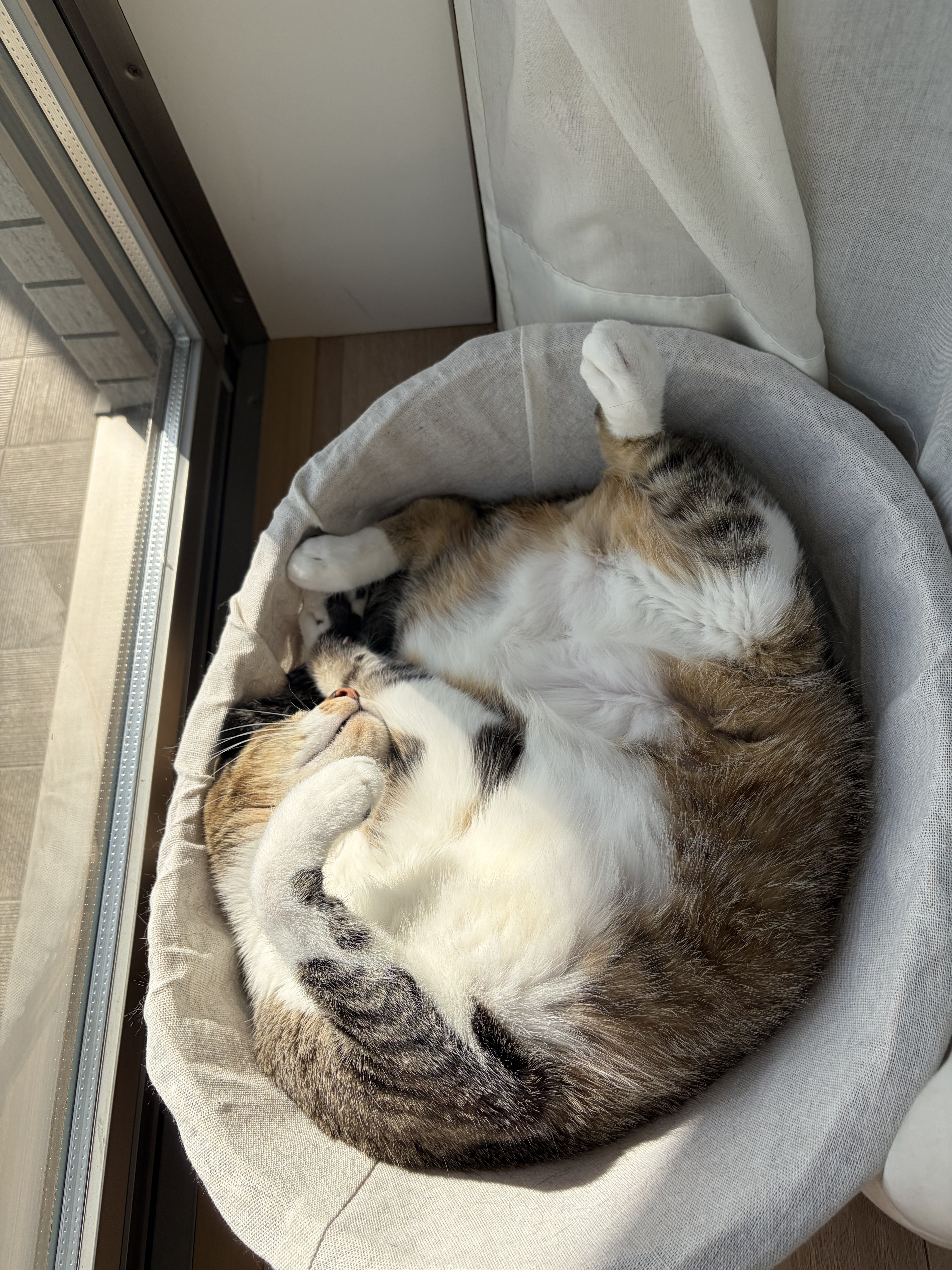 今の様子がわかるつむぎの写真